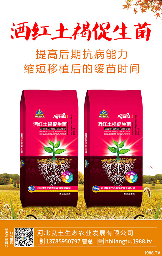 �{��ʲô�r(sh��)��Nֲ�^�����{�˵ķNֲ���g(sh��)�c���g����