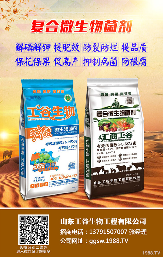 小麥條銹病正在肆虐，農(nóng)戶到底該咋辦？關(guān)鍵還是靠預(yù)防！