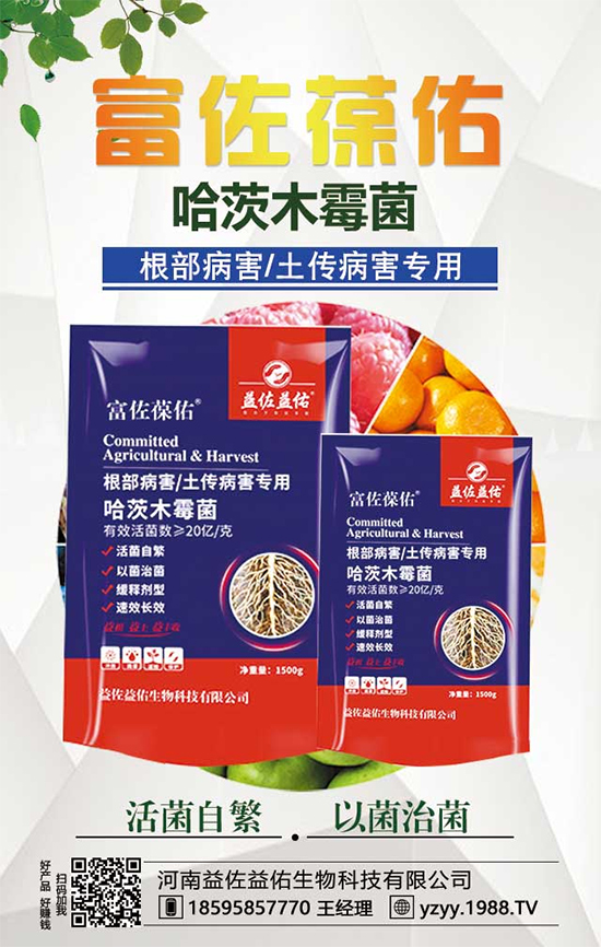 芋頭都有什么營養(yǎng)價(jià)值？吃芋頭有什么好處？