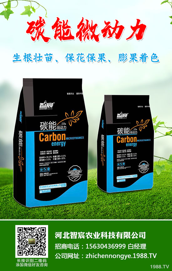 5����(n��i)�׷��Ј���ȥ�Ώģ�����һ�@���@�r�������߄��A(y��)�y��