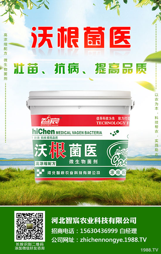 ⛷ʃr�����wƫ���\��������⛷��������2020-5-15��