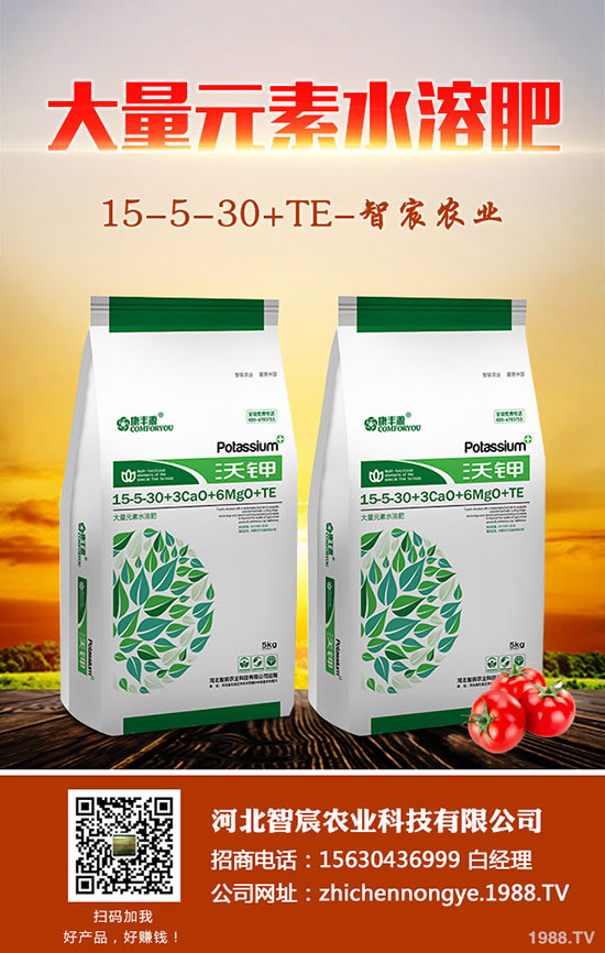 2020��5��15�ս���������(n��i)��(f��)�Ϸʃr(ji��)���߄ݼ��������u