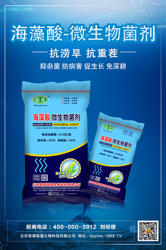     黃瓜的中后期管理技術(shù)，黃瓜后期肥水怎么管理？