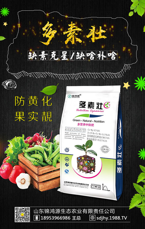 ���������緽������Щ������������Ҫ�c(di��n)�����ڹ�����