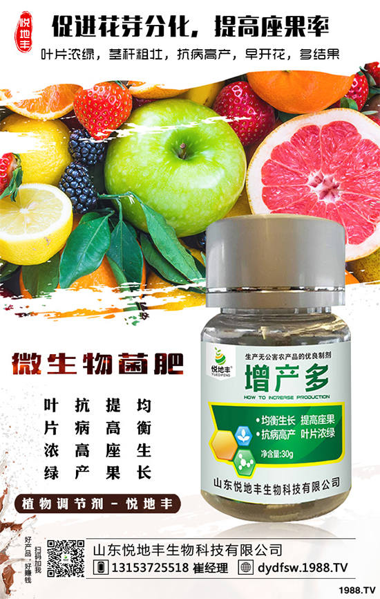 冰菜該如何栽培?怎樣種植能高產(chǎn)?冰菜的高產(chǎn)栽培技術(shù)