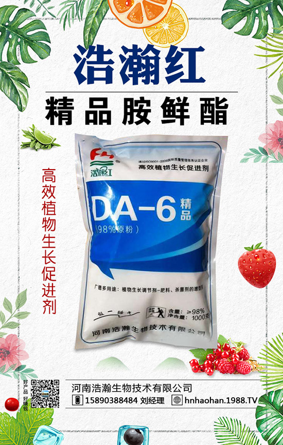 西紅柿摘葉常見(jiàn)誤區(qū)有哪些？西紅柿摘葉技巧！