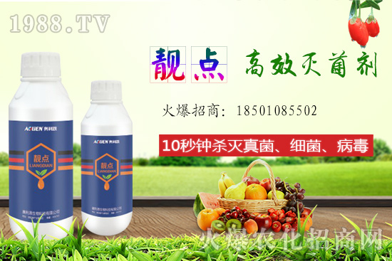 ����Ƭ��ʲô�������ԙ�����ʲô��̎��