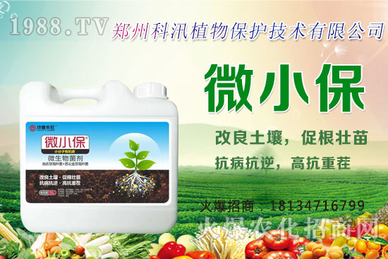 ����Ĺ�Ч�c�����������c�����Ă����РI�B(y��ng)��