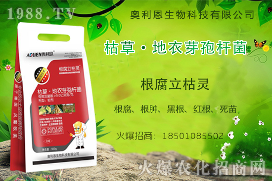 ����ù���r(n��ng)ˎ�r��S�̈�r