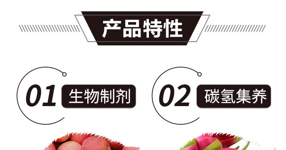 碳氫核肥-紅藻門-碳氫國際_02