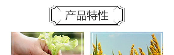 �S���������ЙC(j��)����-С����-�r(n��ng)��һ_05