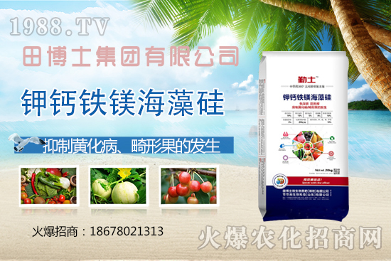 花生重茬會產(chǎn)生哪些影響？如何解決花生重茬問題？