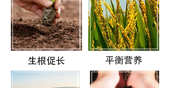 �S���������ЙC(j��)����-С����-�r(n��ng)��һ_06