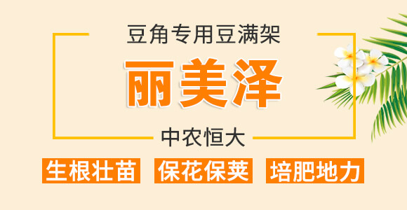 豆角專用豆?jié)M架-麗美澤-中農恒大_01