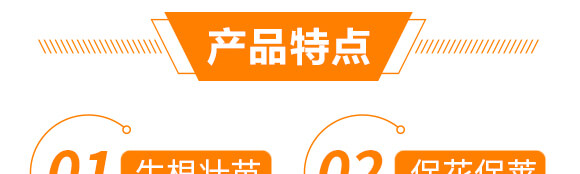 豆角專用豆?jié)M架-麗美澤-中農恒大_05