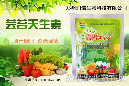 �S�B������ô�������S�B���ڲ��x��������