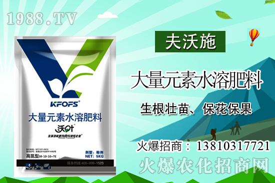 冬瓜高產施肥要點,冬瓜什么時候采收?