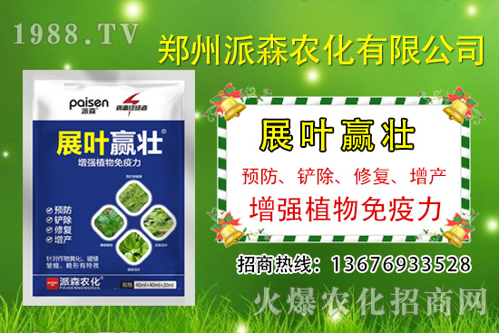 �²�ʲô�r�򲥷N���²��Ј�ǰ����������Nֲ�ɱ�������������