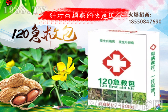 �S�ϼ޽���ʲô��̎����������S�ϼ޽��磿