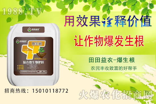 ���¿��ԷNֲ���߲�����Щ�����·N�߲˹���Ҫ�c(di��n)��