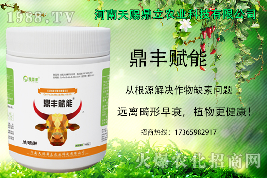 ���؃r(ji��)��