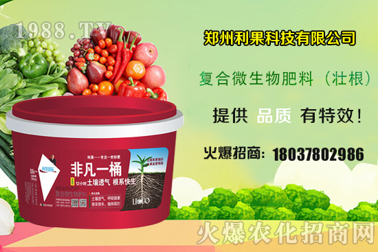 2020年種植辣椒賺錢嗎?種植前景如何?辣椒一畝地產(chǎn)量有多少?