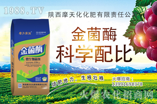 �Nһ���O���ĳɱ��Ƕ������ж����������O���Nֲ���g(sh��)�c������