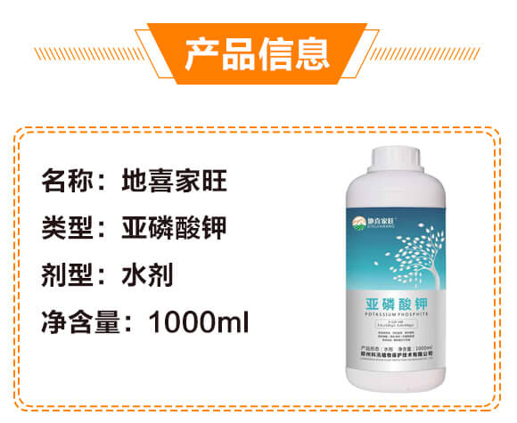 �������0-520-340-��ϲ����-��Ѵ_03