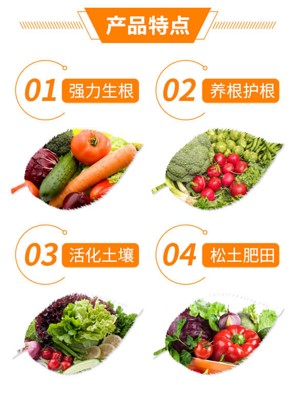 �����ޏ�(f��)��-�޶�����5L��-�{(l��n)��_04