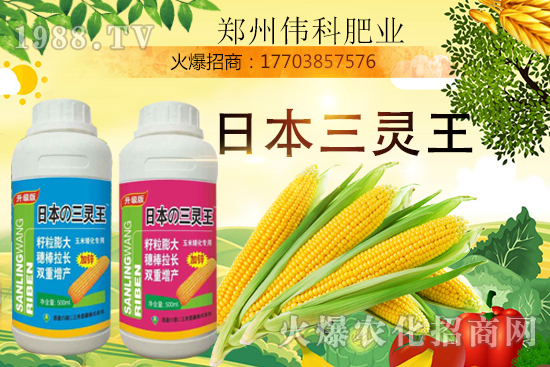 ���׿����״κ������׿����r(sh��)�g�����׿����a(ch��n)Ʒ�x����