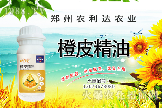 ��Ƥ�������˽��������Ƥ������ʲô��������ô�x��Ƥ������