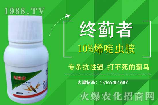 10%烯啶蟲胺能打薊馬嗎？有什么特點(diǎn)？10%烯啶蟲胺使用注意事項(xiàng)！