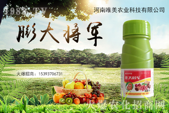 果實(shí)膨果慢、果實(shí)小怎么解決？果實(shí)膨果肥的選擇有哪些？