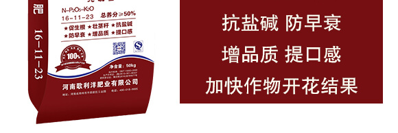 純硫基復(fù)合肥料16-11-23-歌利洋_04