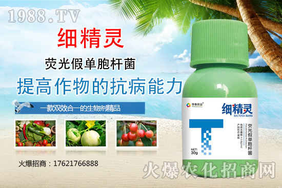 比利時(shí)亨泰怎么樣？比利時(shí)亨泰主要產(chǎn)品有哪些？