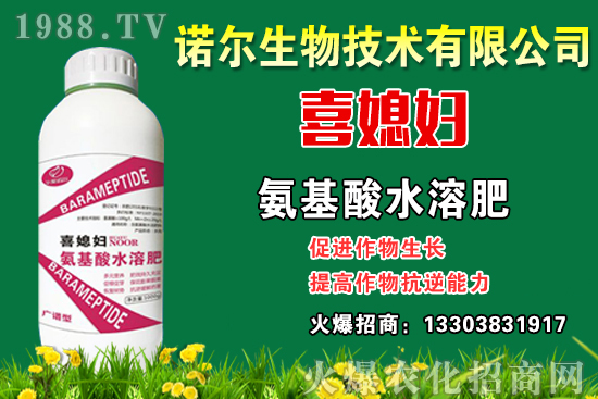 ϲϱ�D����(b��o)2