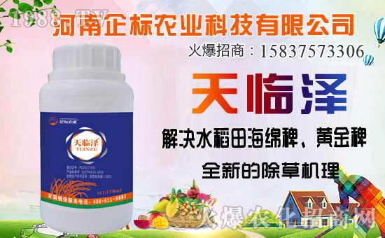 ���ݰ����ݙC(j��)�������ݰ��ܷ�����Щ����ʹ��ע�����(xi��ng)����Щ��