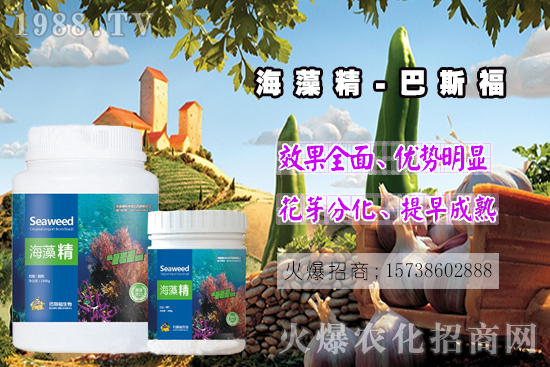  ߀���˽⺣�徫��ɶ����������out�ˣ����徫�����ж����