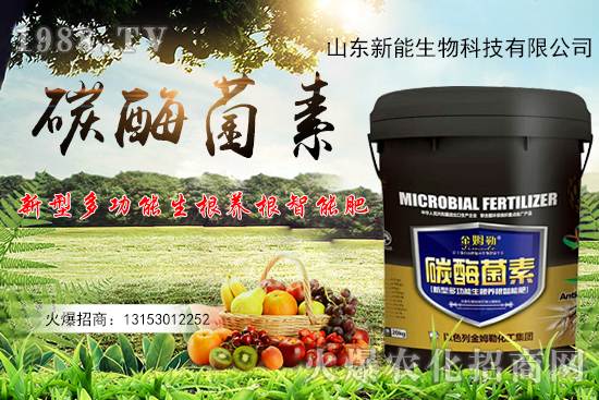 һ�ʶ��ã��ЙC(j��)̼+����ø+�����+�I(y��ng)�B(y��ng)Ԫ����̼ø������ʲô������