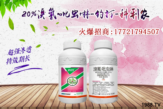 �������x���l(f��)̫���������x��ô��Ч���ã����x���η�������Щ��