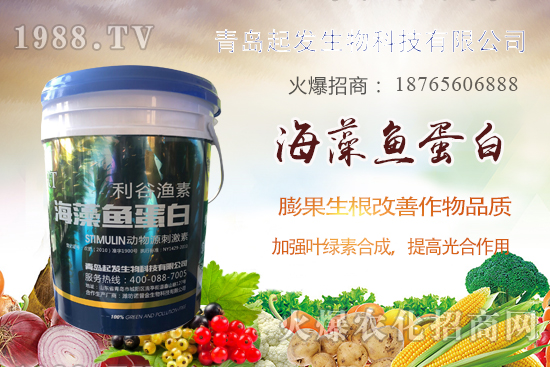 蔬菜定植如何緩苗快？蔬菜生根誤區(qū)有哪些？蔬菜生根壯苗肥推薦！