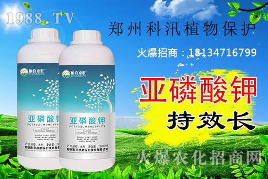 ������⛹�Ч�������C(j��)������Щ������������õĺ������