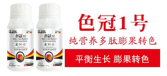 ���I(y��ng)�B(y��ng)��������D(zhu��n)ɫ-ɫ��1̖(h��o)-�P��˹_03