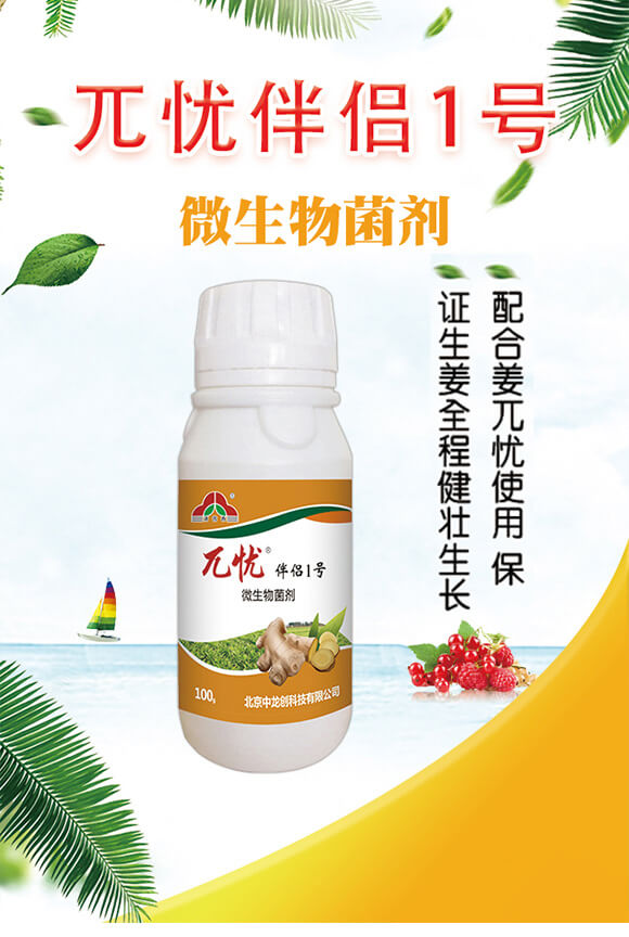 ΢�������-��H1̖(h��o)-أ�n-������(chu��ng)_01