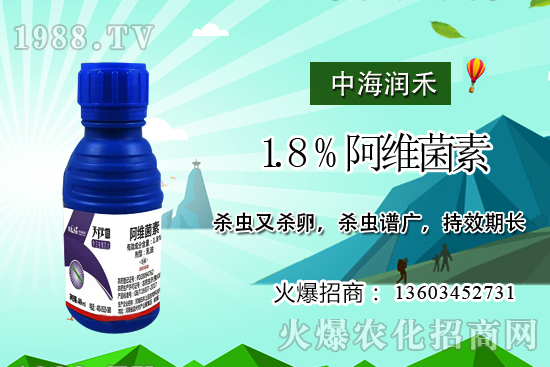 斜紋夜蛾高發(fā)期，防治工作迫在眉睫！斜紋夜蛾如何用藥？