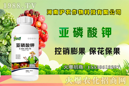 大蔥育苗要點(diǎn)你知道嗎？大蔥常見病蟲害有哪些？如何防治？