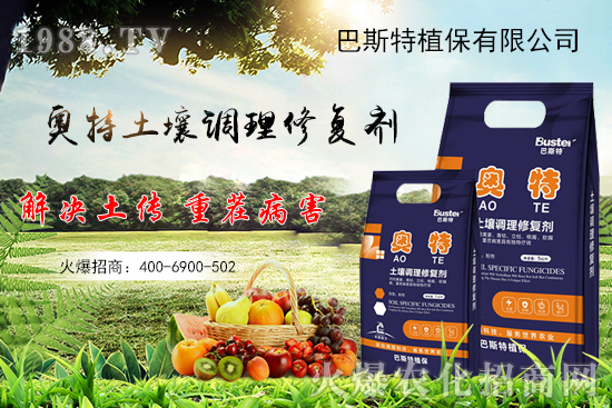 秋白菜怎么種植?秋白菜種植要點及苗期管理!