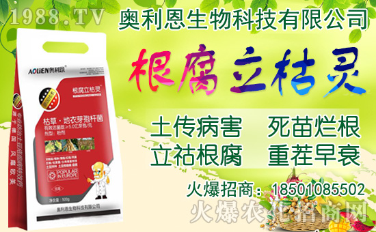 ���[���ʩ�ʣ����[�Nֲ���������N�r�g��