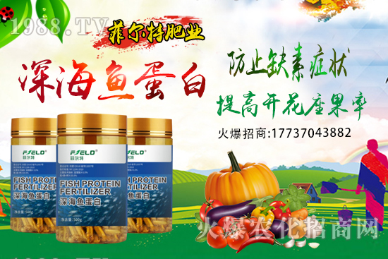 青梗菜種植時間,青梗菜栽培及管理關鍵要點!