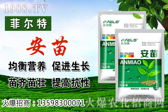 ���\�����L���h(hu��n)����Ҫ�������\���Nֲ�����ռ��g(sh��)��